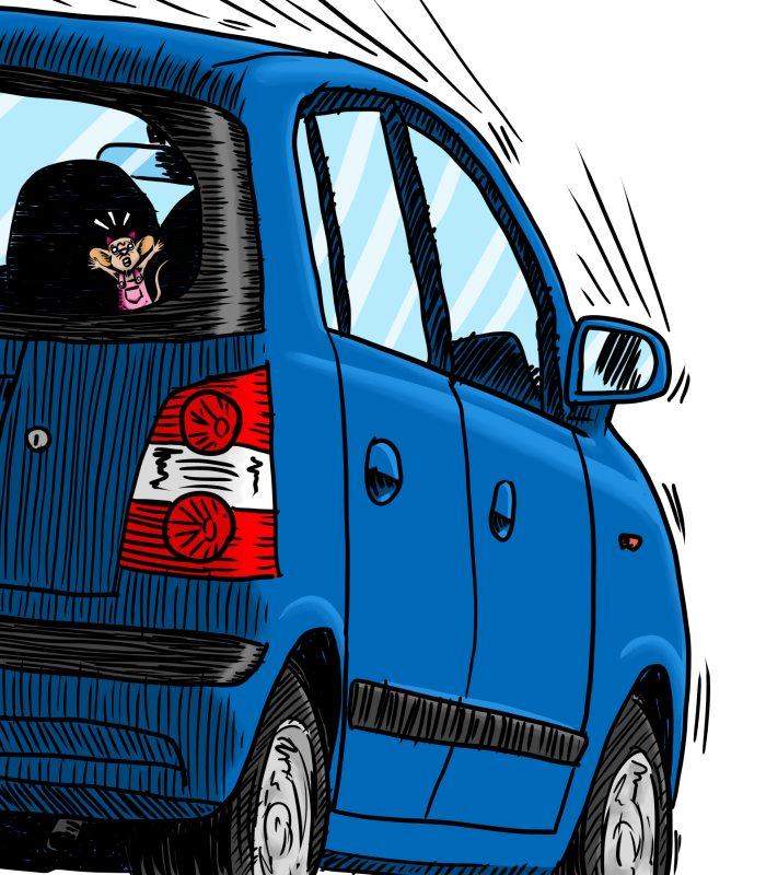 colored drawing of Sisi the Mouse going for a ride at the back of a little blue house on wheels, an intro drawing from the first part of the book, The Amazing Adventures of Sisi the Mouse, written by Ania Bogacka and illustrated by Mikey Arnott